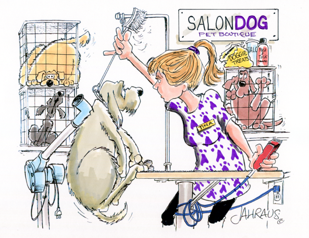 Advice For Dog Groomers ~ moxiehairdesigners