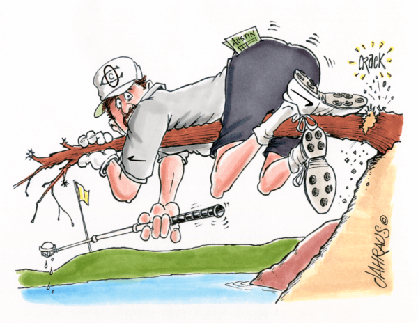 golf ball retrieval cartoon 2