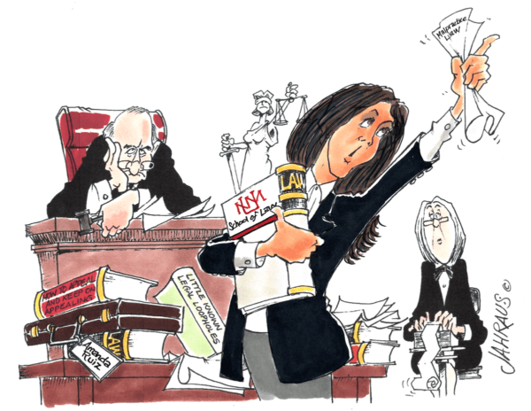 public defender cartoon 1