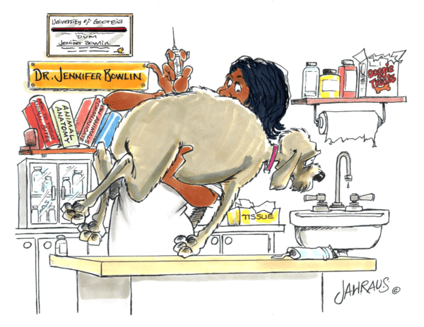 veterinarian cartoon 1