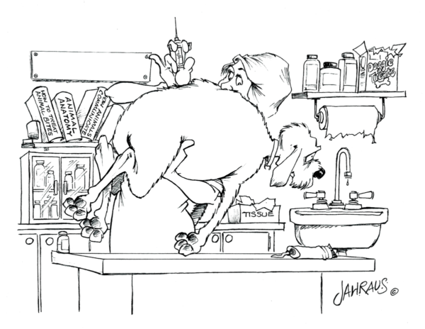 veterinarian cartoon 3
