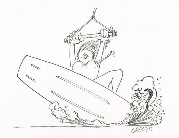 wakeboard cartoon 3